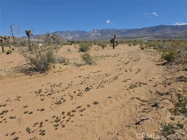 Lucerne Valley, CA 92356,31357 Pawnee Street