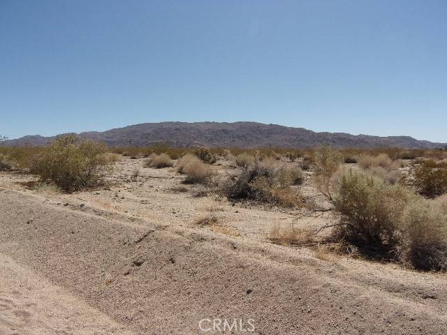 Twentynine Palms, CA 92277,1234 Wilshire Avenue