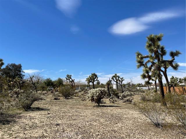 Yucca Valley, CA 92284,0 Sun Mesa Drive