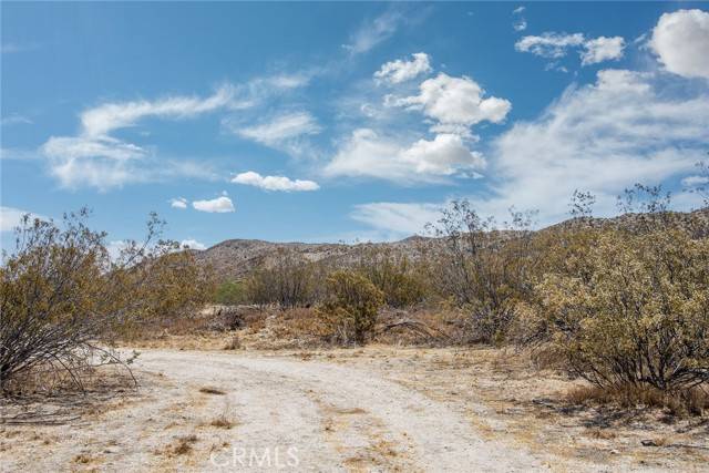 Morongo Valley, CA 92256,50253 Twentynine Palms Highway