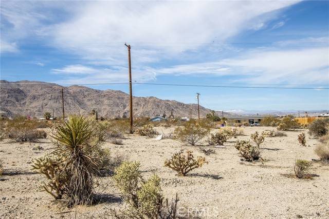 Twentynine Palms, CA 92277,7600 Bedouin Avenue