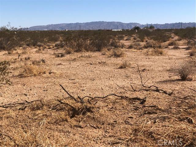 Joshua Tree, CA 92252,0 Near Daisy Lane