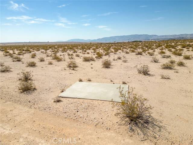 Joshua Tree, CA 92252,123 Mars Lane