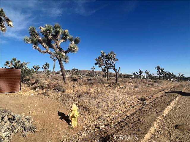 Yucca Valley, CA 92284,111 Wallaby