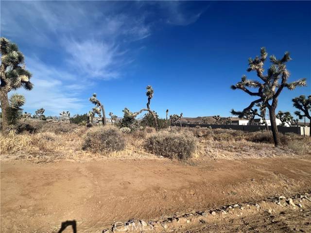 Yucca Valley, CA 92284,111 Wallaby