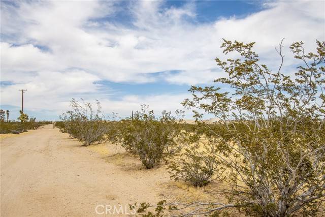 Joshua Tree, CA 92252,4225 Benji Avenue