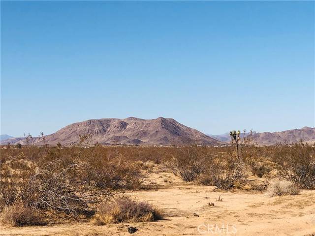 Joshua Tree, CA 92252,0 Venus Drive