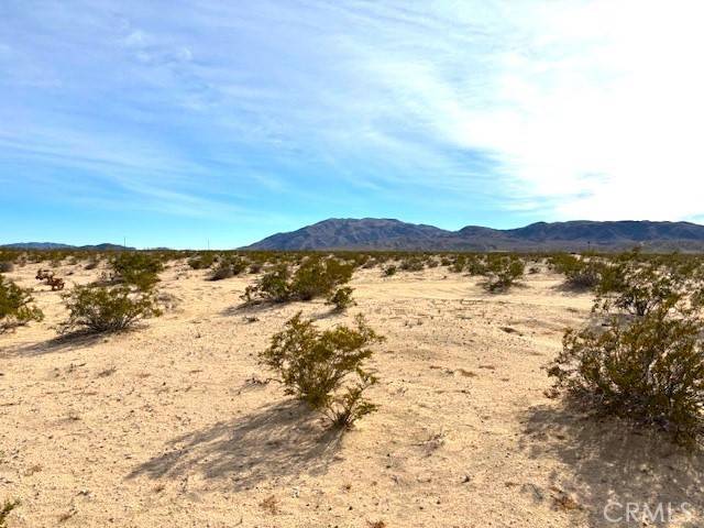 Twentynine Palms, CA 92277,0 Primrose Lane