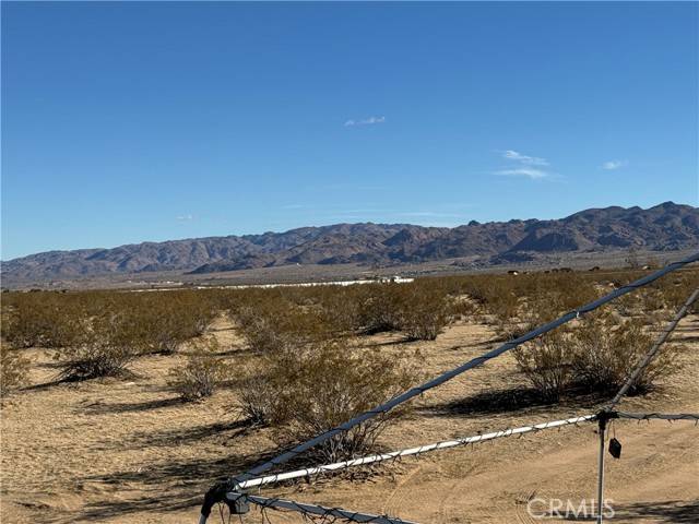 Joshua Tree, CA 92252,63325 Sunflower Road