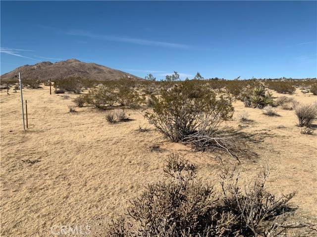 Joshua Tree, CA 92252,62259 Dixie Lane