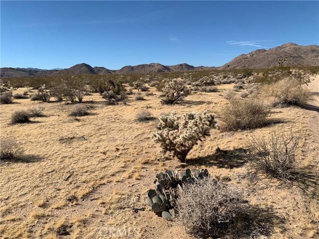 Joshua Tree, CA 92252,62259 Dixie Lane