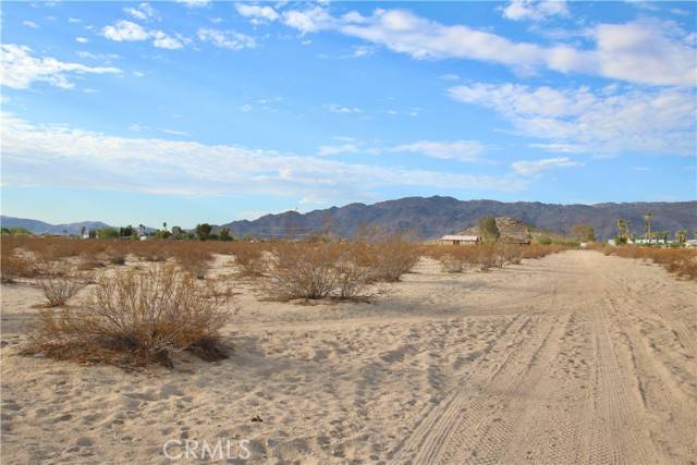 Twentynine Palms, CA 92277,0 Near Manana/2 Mile Rd Drive