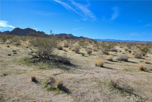 Joshua Tree, CA 92252,64755 Foothill Drive