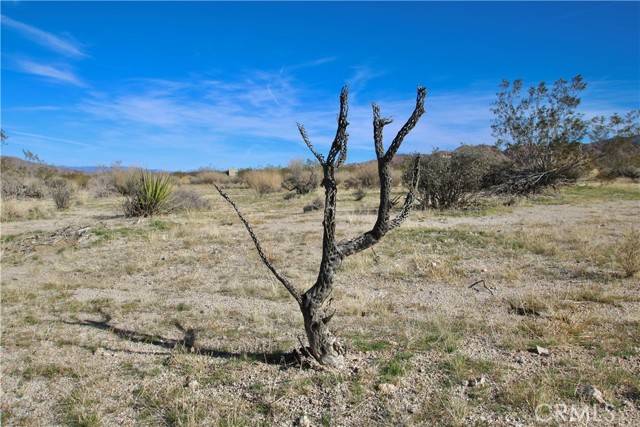 Joshua Tree, CA 92252,64755 Foothill Drive