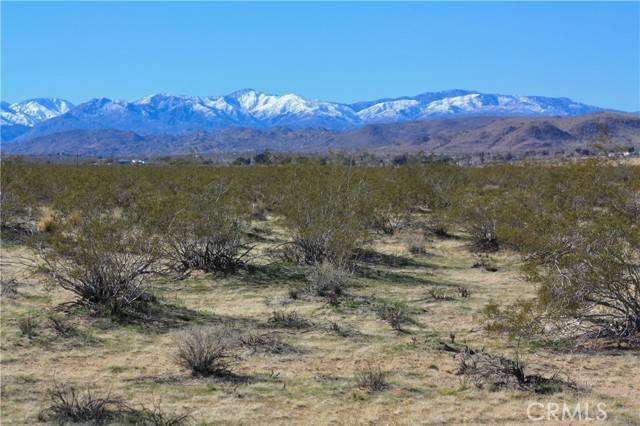 Joshua Tree, CA 92252,0 29 Palms Hwy