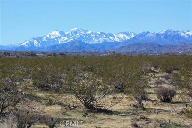 Joshua Tree, CA 92252,0 29 Palms Hwy