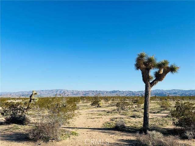 Joshua Tree, CA 92252,1974 Sunset Road