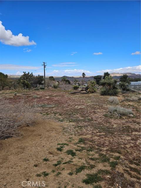 Joshua Tree, CA 92252,60374 La Mirada Trail