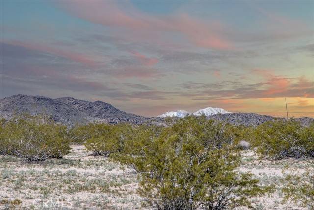 Joshua Tree, CA 92252,2100 Copper Moon Lane