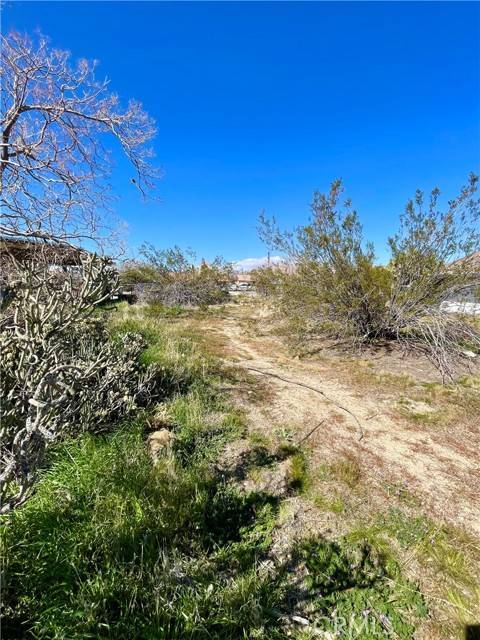 Yucca Valley, CA 92284,2 Indio Avenue