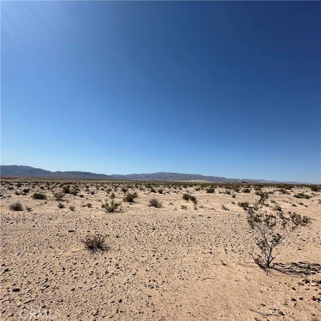 Twentynine Palms, CA 92277,1234 Taco Drive