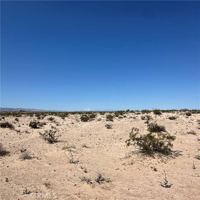 Twentynine Palms, CA 92277,1234 Taco Drive