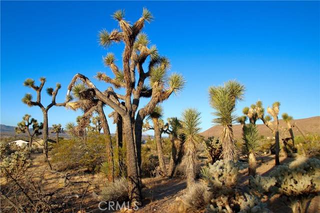 Yucca Valley, CA 92284,5374 Marvin Drive