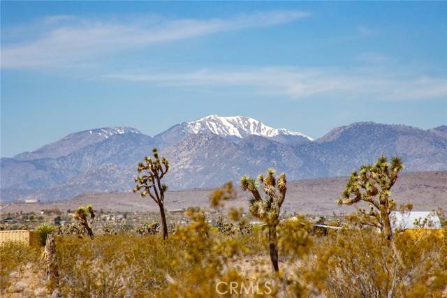 Joshua Tree, CA 92252,4444 Saddleback Drive