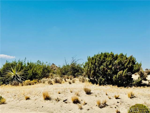 Yucca Valley, CA 92284,0 Cobalt Road