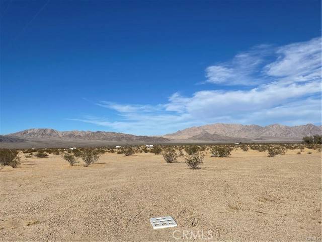 Twentynine Palms, CA 92277,0 Amboy Road