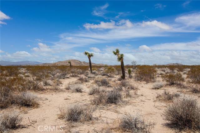 Joshua Tree, CA 92252,2000 Celeste Road