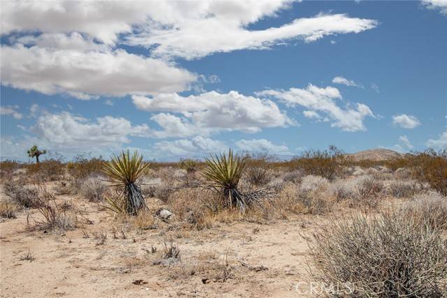 Joshua Tree, CA 92252,2000 Celeste Road