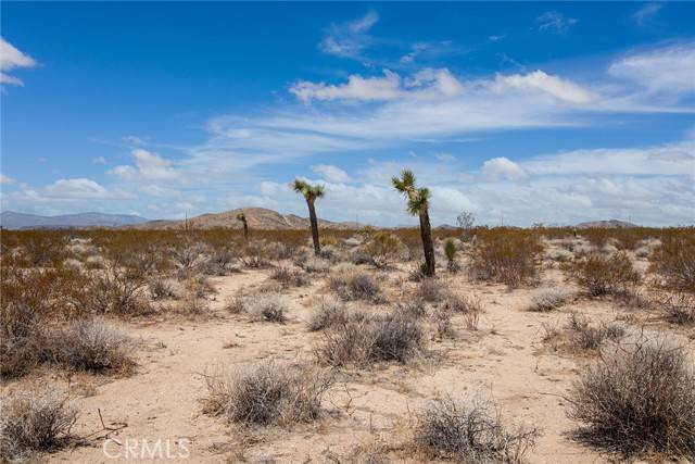 Joshua Tree, CA 92252,3000 Celeste Road