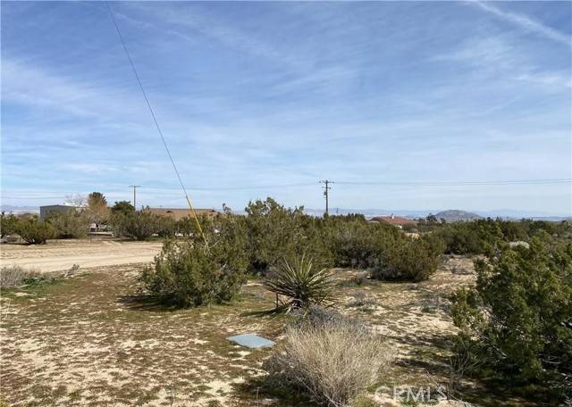 Yucca Valley, CA 92284,56479 Duarte Street