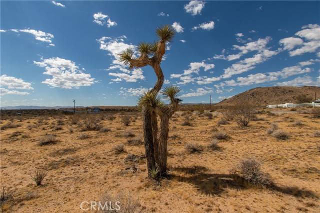 Landers, CA 92285,0 Old Woman Springs