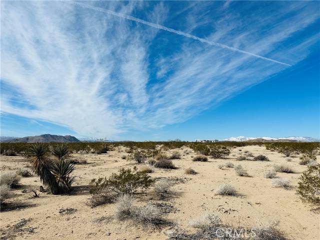 Joshua Tree, CA 92252,1234 Desert Lily Street