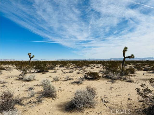 Joshua Tree, CA 92252,1234 Desert Lily Street