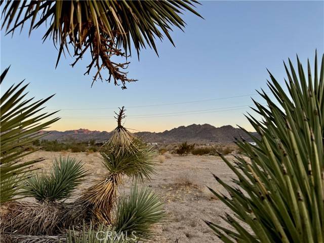 Joshua Tree, CA 92252,5858 Neptune Road