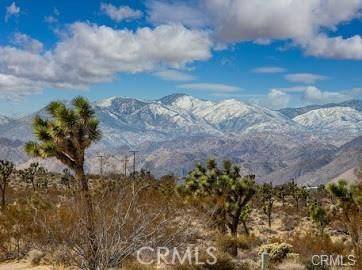 Joshua Tree, CA 92252,0 Melton