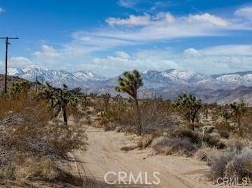 Joshua Tree, CA 92252,0 Melton