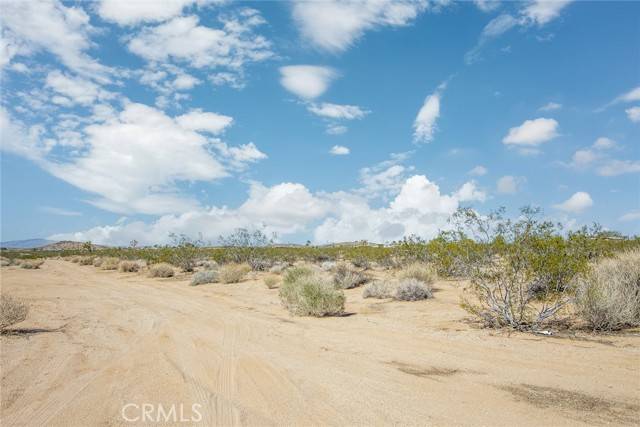 Joshua Tree, CA 92252,3382 Center Avenue