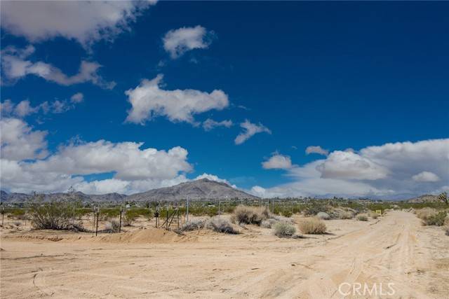 Joshua Tree, CA 92252,3382 Center Avenue