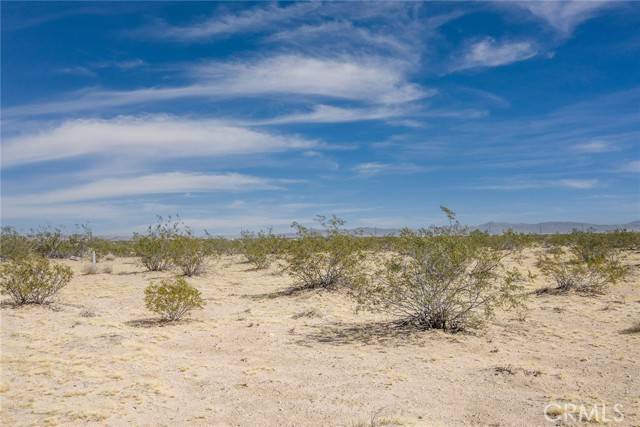 Joshua Tree, CA 92252,63726 Chollita Road