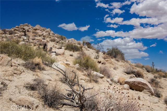 Yucca Valley, CA 92284,999 Mandarin Road