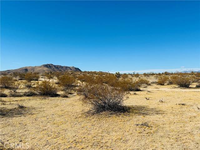 Joshua Tree, CA 92252,23 Avenida Del Sol