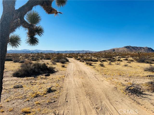 Joshua Tree, CA 92252,23 Avenida Del Sol