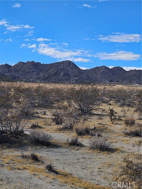 Joshua Tree, CA 92252,0 California Avenue