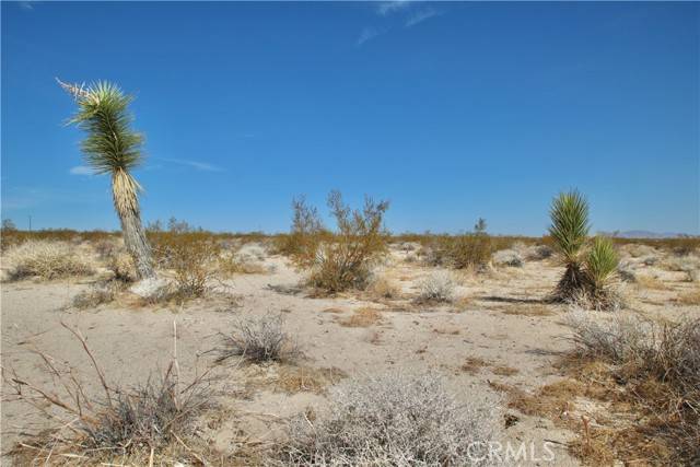 Joshua Tree, CA 92252,0 Moonlight Mesa Avenue