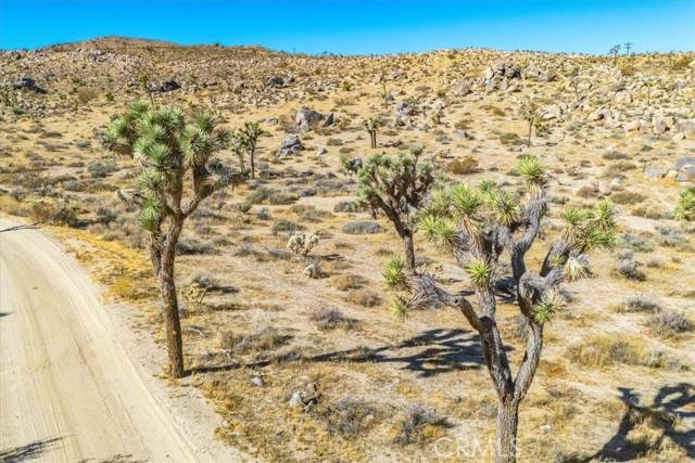 Yucca Valley, CA 92284,2175 Geronimo Trail