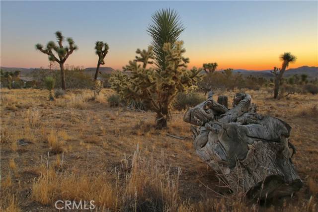 Joshua Tree, CA 92284,7635 La Contenta Road